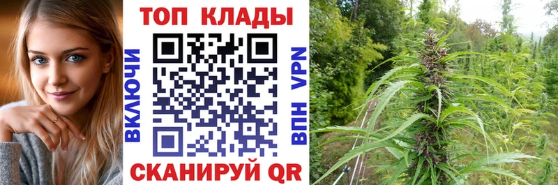 Купить наркотик аптеки Гай Кокаин  А ПВП  Мефедрон  ГАШИШ  Codein  Конопля 
