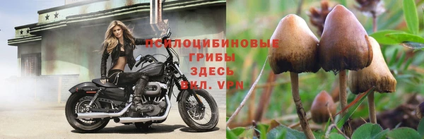 apvp Ступино