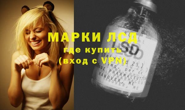 ПСИЛОЦИБИНОВЫЕ ГРИБЫ Балабаново